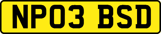 NP03BSD