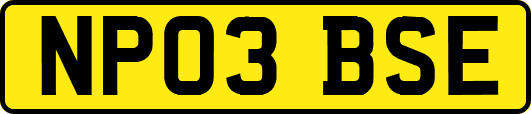 NP03BSE