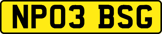 NP03BSG