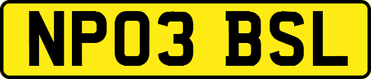 NP03BSL