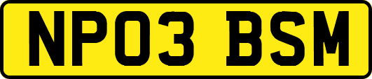 NP03BSM