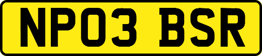 NP03BSR