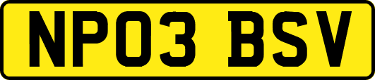 NP03BSV