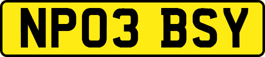NP03BSY
