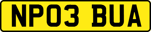 NP03BUA