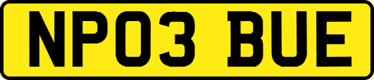 NP03BUE