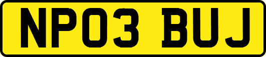 NP03BUJ