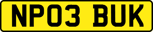 NP03BUK