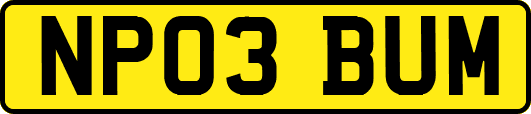 NP03BUM