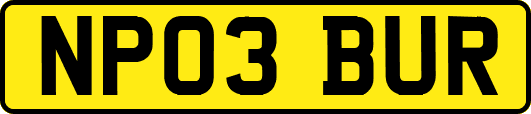 NP03BUR