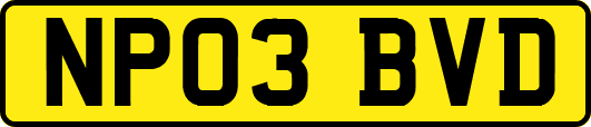 NP03BVD
