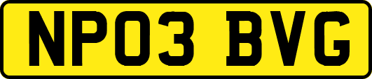 NP03BVG