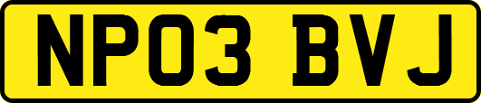NP03BVJ