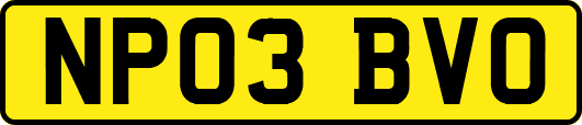NP03BVO