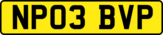 NP03BVP