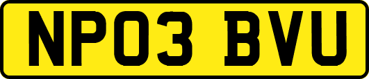 NP03BVU