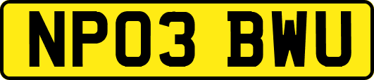 NP03BWU