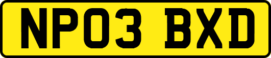 NP03BXD
