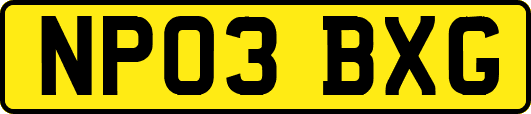 NP03BXG
