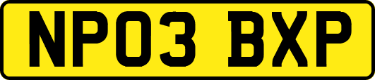 NP03BXP