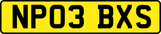 NP03BXS