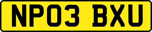 NP03BXU