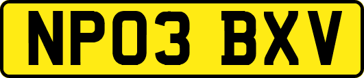 NP03BXV
