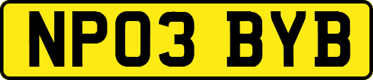 NP03BYB