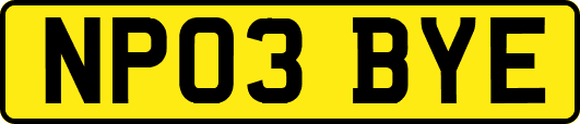 NP03BYE
