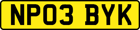 NP03BYK