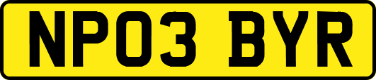 NP03BYR