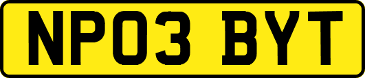 NP03BYT