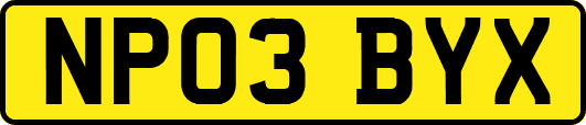 NP03BYX