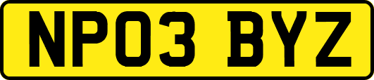 NP03BYZ