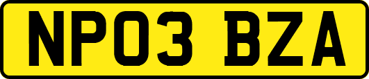 NP03BZA