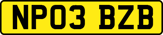 NP03BZB