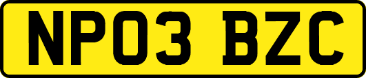NP03BZC