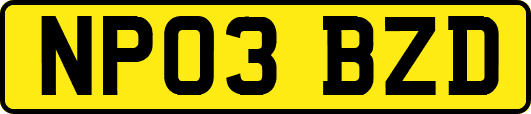 NP03BZD
