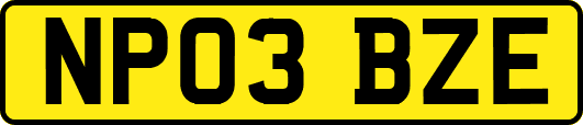 NP03BZE