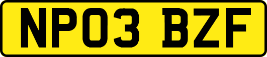 NP03BZF