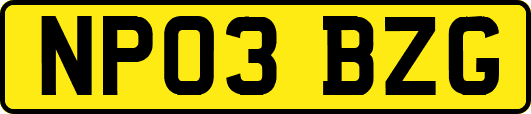 NP03BZG