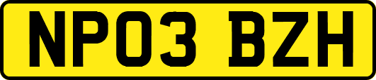 NP03BZH