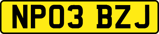 NP03BZJ
