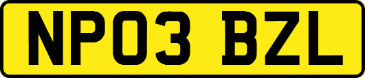 NP03BZL