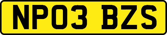 NP03BZS