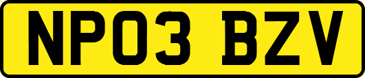 NP03BZV