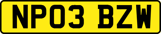 NP03BZW
