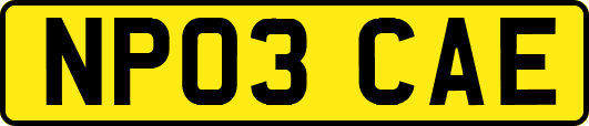 NP03CAE