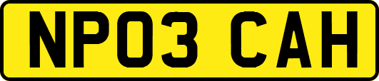 NP03CAH