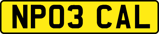 NP03CAL